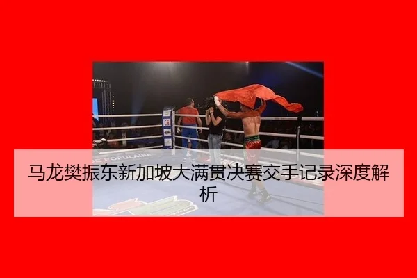 马龙樊振东新加坡大满贯决赛交手记录深度解析