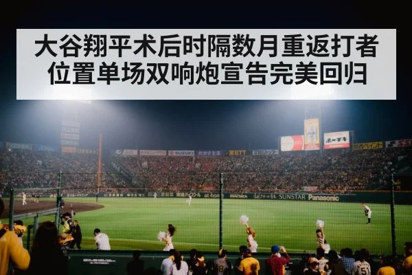 baseball stadium night game